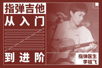 飞哥—指弹编配及技巧入门至进阶